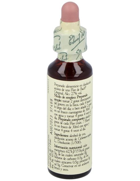 (08) Chicory  de Bach