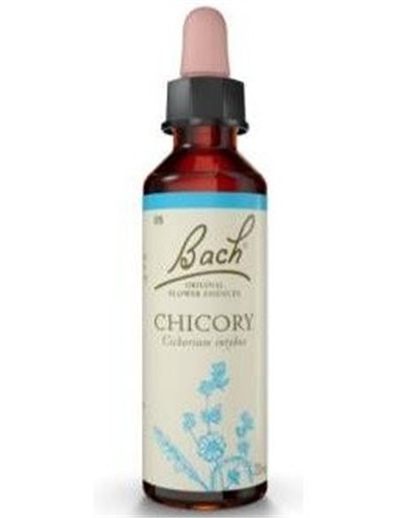 (08) Chicory  de Bach