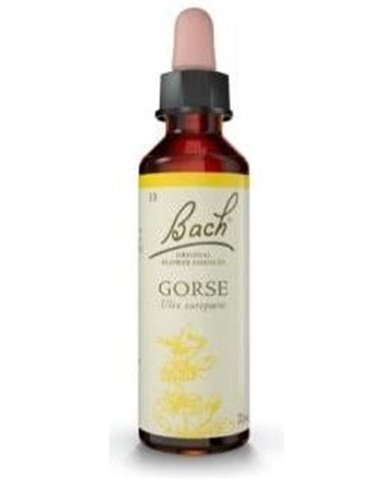 Flores Bach Gorse Aulaga 20Ml. de Flores Bach Original