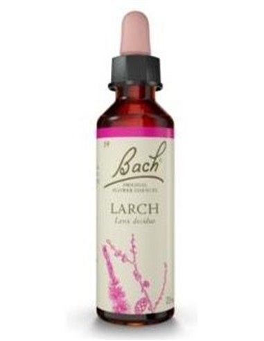 Flores Bach Larch Alerce 20Ml. de Flores Bach Original