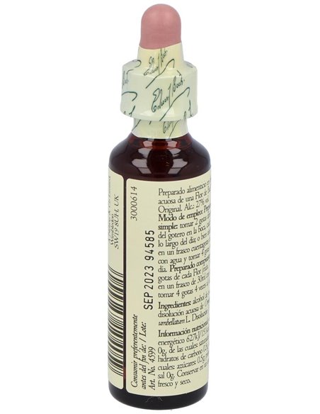 (29) Star Of Bethlehem  de Bach