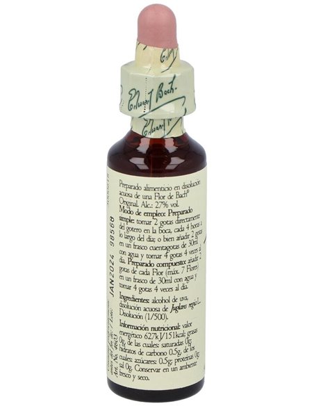 (33) Walnut-Nogal  de Bach