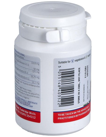 Complejo de Castaño de Indias de Lamberts