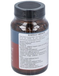 Sinergia Vibrante 50Vcap. de Terranova 2