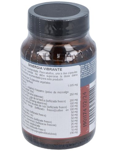 Sinergia Vibrante 50 Vcáps de Terranova