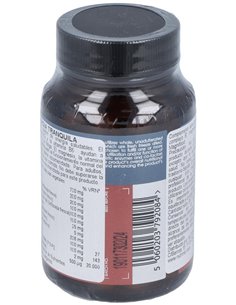 Sinergia Tranquila 50Vcap. de Terranova 2