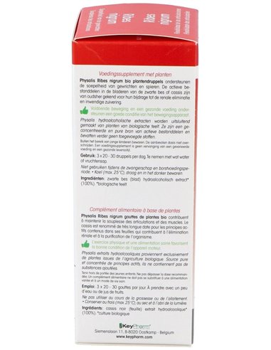 Tintura Ribes Nigrum (Grosellero Negro) de Physalis