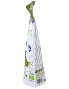 Hemp Protein Cañamo 300Gr. Bio de Biotona 2