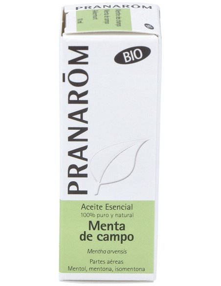 Menta De Campo Partes Aereas Bio 10 Ml de Pranarom