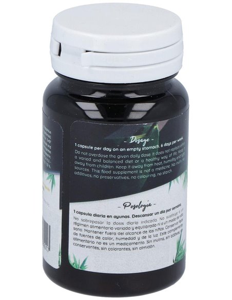 Ferment Daily 30Cap. de Probioticos San