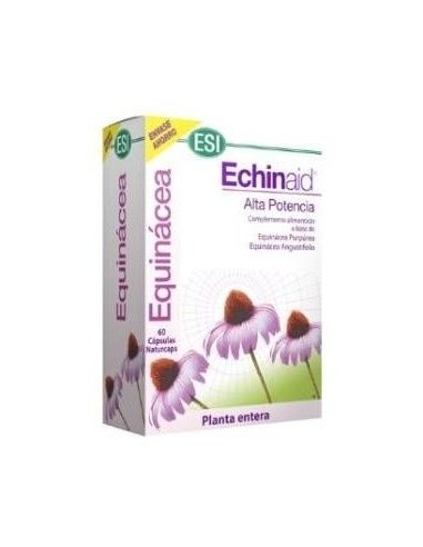 Echinaid 60Cap. de Trepatdiet-Esi