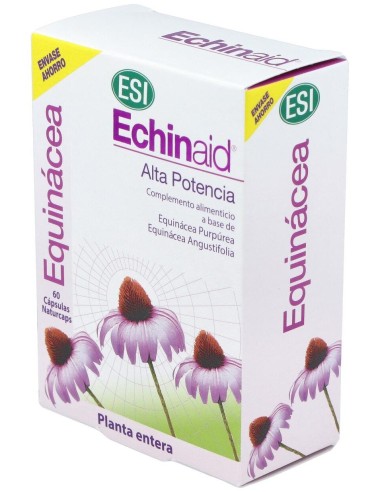 Echinaid 60Cap. de Trepatdiet-Esi