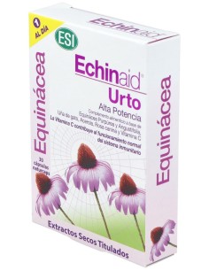 Echinaid Urto 30Cap. de Trepatdiet-Esi 2
