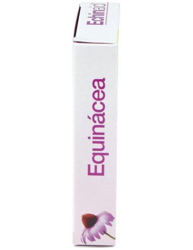 Echinaid Urto 30Cap. de Trepatdiet-Esi