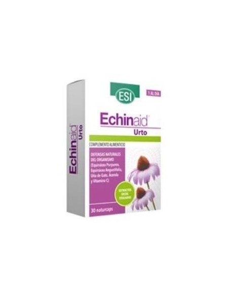 Echinaid Urto 30Cap. de Trepatdiet-Esi