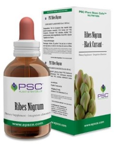 Psc Ribes Nigrum 15Ml. de Forza Vitale 2
