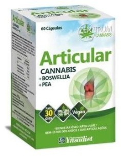 Articular 60 Caps. V de Ynsadiet 2