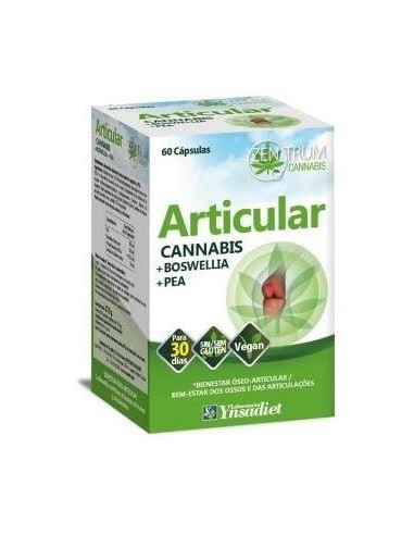 Articular 60 Caps. V de Ynsadiet