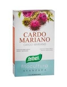 Cardo Mariano 40Cap. de Santiveri 2