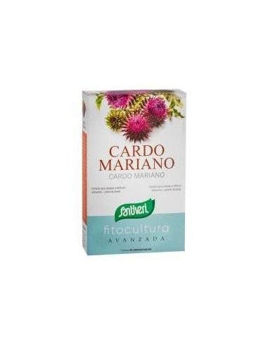 Cardo Mariano 40Cap. de Santiveri