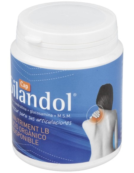 Silandol 120Cap. de Mca Productos Naturales