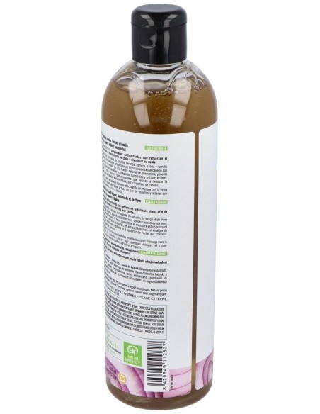 Champu Cebolla + Vinagre De Manzana 400Ml. de Armonia