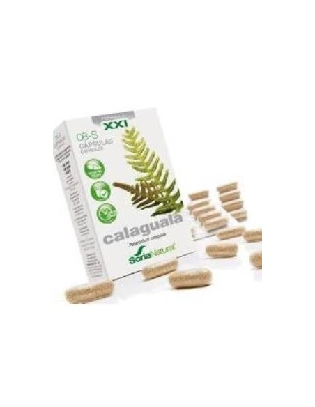 Cap.S 08 Calaguala Xxi 30Cap. de Soria Natural