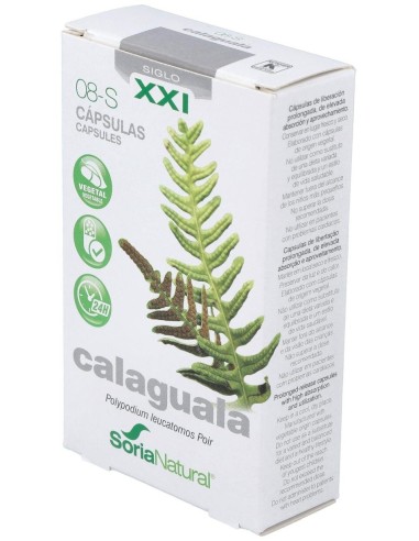 Cap.S 08 Calaguala Xxi 30Cap. de Soria Natural