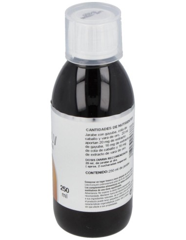 Disolv Renal Jarabe 250Ml. de Nale