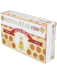 Reina Real 1500Mg. 20Amp. de Robis 2