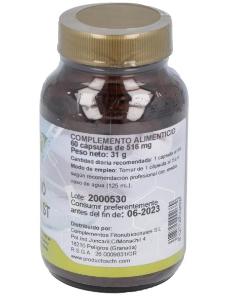 Ginkgo Biloba (24%)St 60Cap. de Cfn