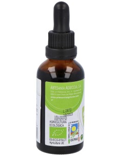 Ext Llanten Eco S/Alc Plantis de Artesania 2