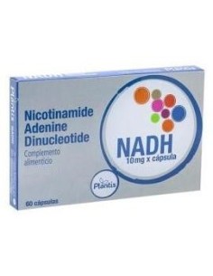 Nadh Plantis 60 Cap de Artesania 2