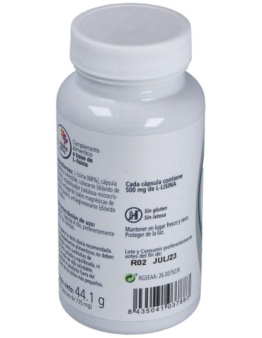 L-Lisina 60Cap. de Artesania