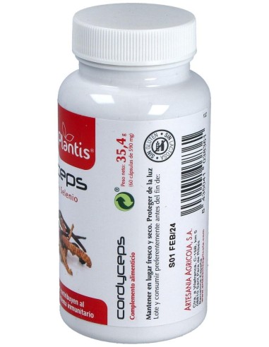 Cordyceps Plantis 60Cap. de Artesania