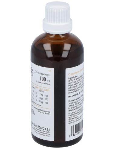 Oligoginkgo Plantis 100 Ml de Artesania