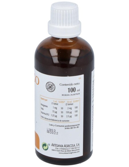 Oligoginkgo Plantis 100 Ml de Artesania