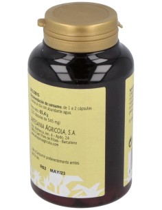 Bilobis Ginkgo Plantis 120 Cap de Artesania 2