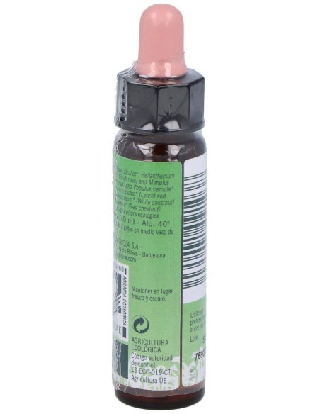 Nº4 Tem. Inseguridades Eco10Ml de Artesania