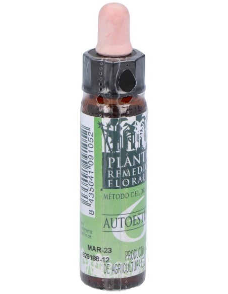 Nº6  Autoestima Eco 10 Ml de Artesania