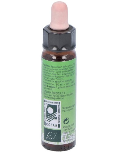 Nº6  Autoestima Eco 10 Ml de Artesania