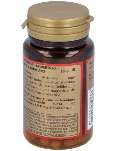 Arandano 60Cap. de Obire 2