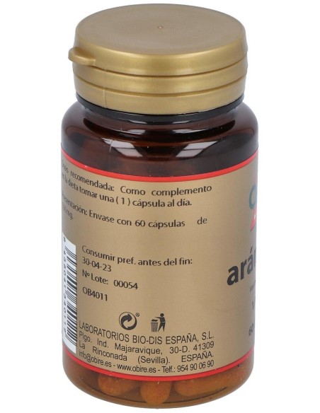 Arandano 60Cap. de Obire