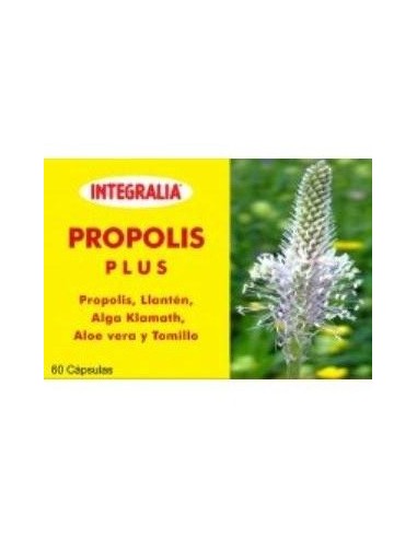 Propolis Plus 60Cap. de Integralia