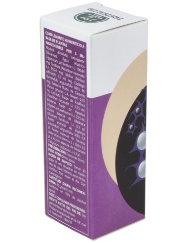 Vibroextract Sistema Nervioso 50Ml. de Equisalud