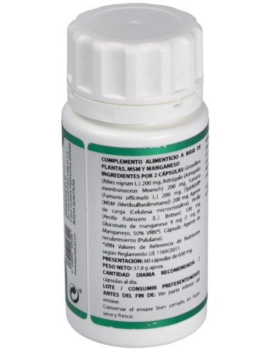 Holofit Grosellero 60Cap. de Equisalud