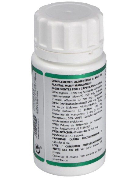 Holofit Grosellero 60Cap. de Equisalud