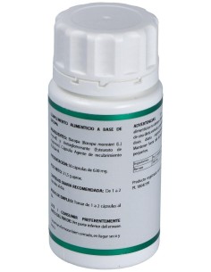 Holofit Ayurveda Bacopa 50Cap. de Equisalud 2