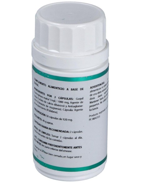 Holofit Ayurveda Guggul 50Cap. de Equisalud