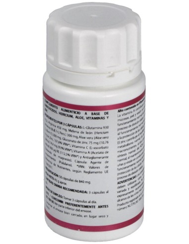 Holomega Hericium 50Cap. de Equisalud